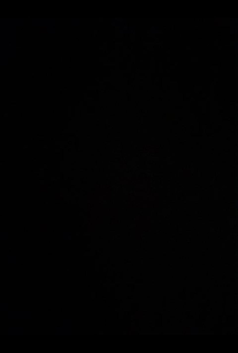 Dobbelt brusekabine døre